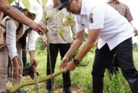 Pemprov Lampung mendorong terlaksananya Program Perhutanan Sosial (PS) dimana sistem pengelolaan hutan lestari dengan menempatkan masyarakat sebagai pelaku utama untuk meningkatkan kesejahteraannya.