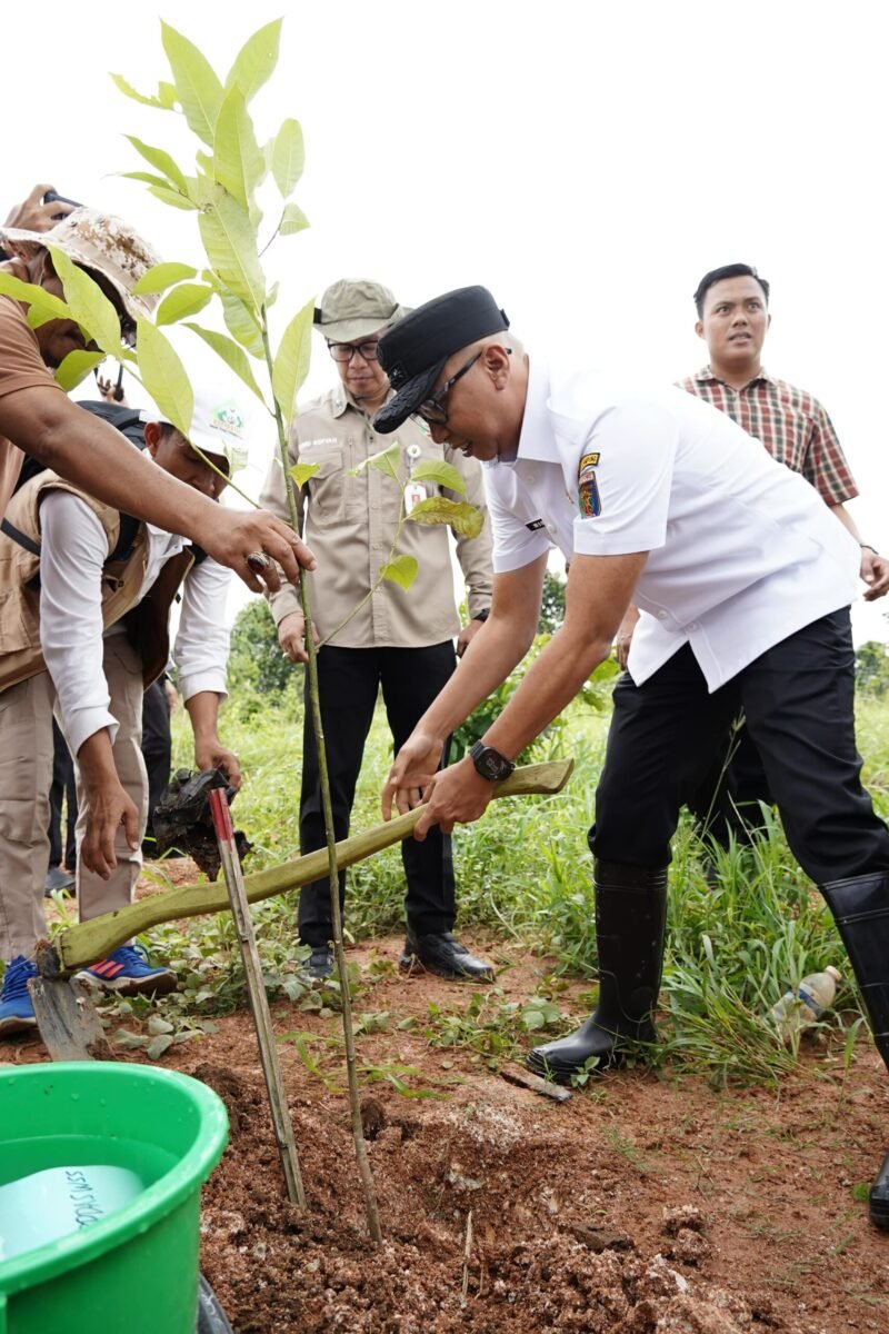 Pemprov Lampung mendorong terlaksananya Program Perhutanan Sosial (PS) dimana sistem pengelolaan hutan lestari dengan menempatkan masyarakat sebagai pelaku utama untuk meningkatkan kesejahteraannya.