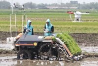 Malaysia tertarik penerapan teknologi modern yang menunjang percepatan pencapaian swasembada pangan di Indonesia. (Foto: ist)