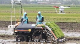 Malaysia tertarik penerapan teknologi modern yang menunjang percepatan pencapaian swasembada pangan di Indonesia. (Foto: ist)