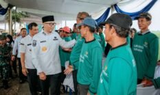 Indonesia Swasembada Pangan, Produksi Padi Lampung 2025 Melejit Hingga 14,65 Persen