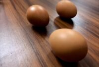 Cangkang telur dapat menjadi penyubur tanah efektif dan murah. (Foto: Lingkartani)