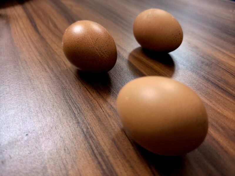 Cangkang telur dapat menjadi penyubur tanah efektif dan murah. (Foto: Lingkartani)