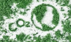 Pasar Karbon Indonesia Masuk Panggung Global, Kita Dapat Apa?