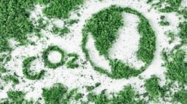 Pasar karbon Indonesia masuk ke perdagangan karbon global. Namun harga kredit karbon yang 10–25 kali lebih murah dari pasar internasional memunculkan risiko bagi negara dan masyarakat. (foto: ist)